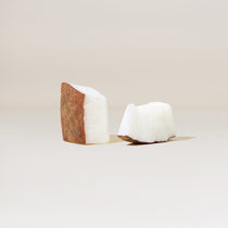 Antioxidant Energy Bites with DIRTEA Functional Mushrooms: No-Bake Power Snacks