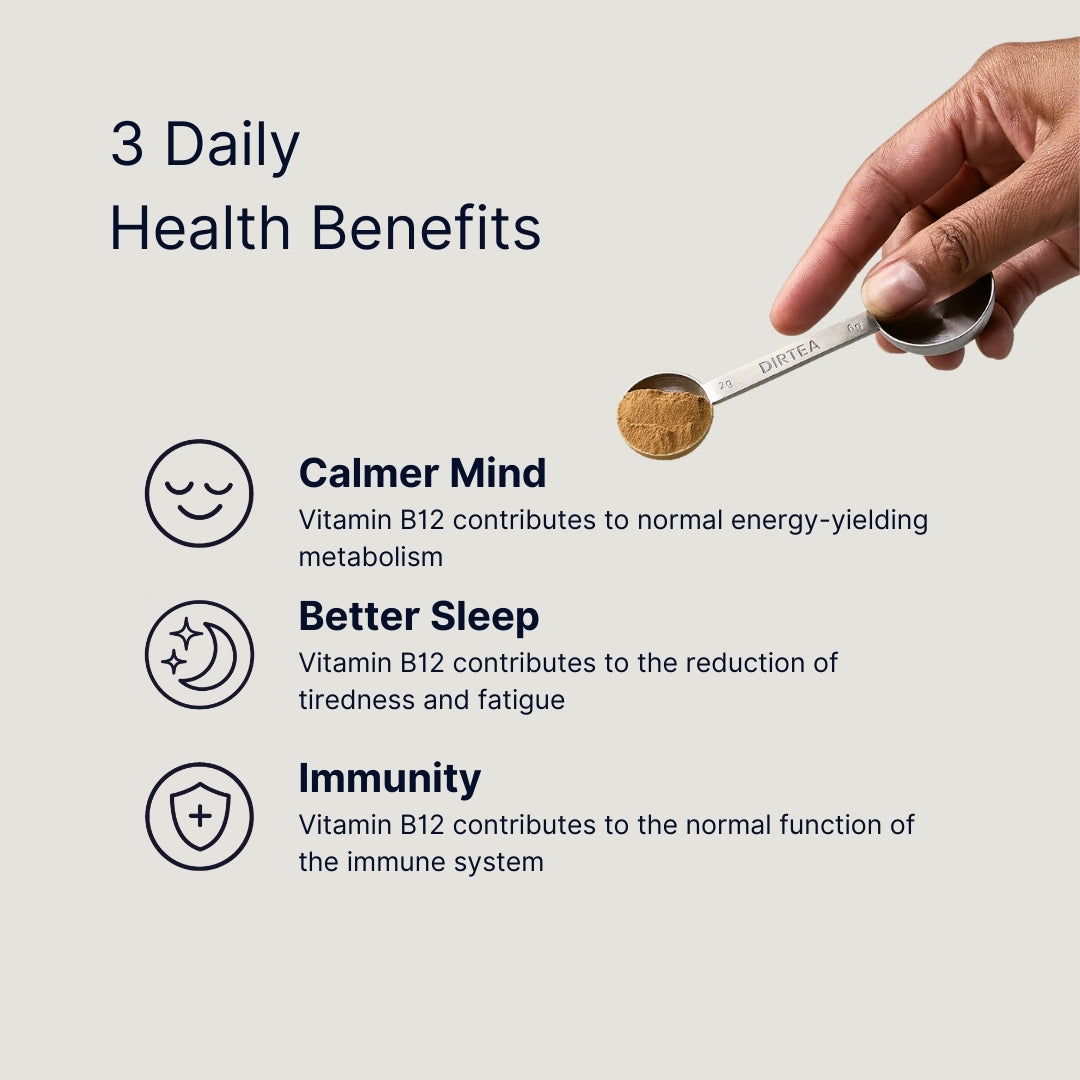 Reishi Mushroom Powder (60g Pouch)