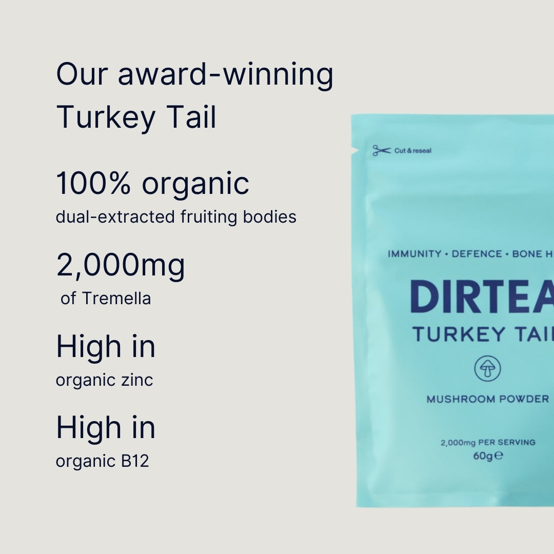 Turkey Tail Mushroom Powder
