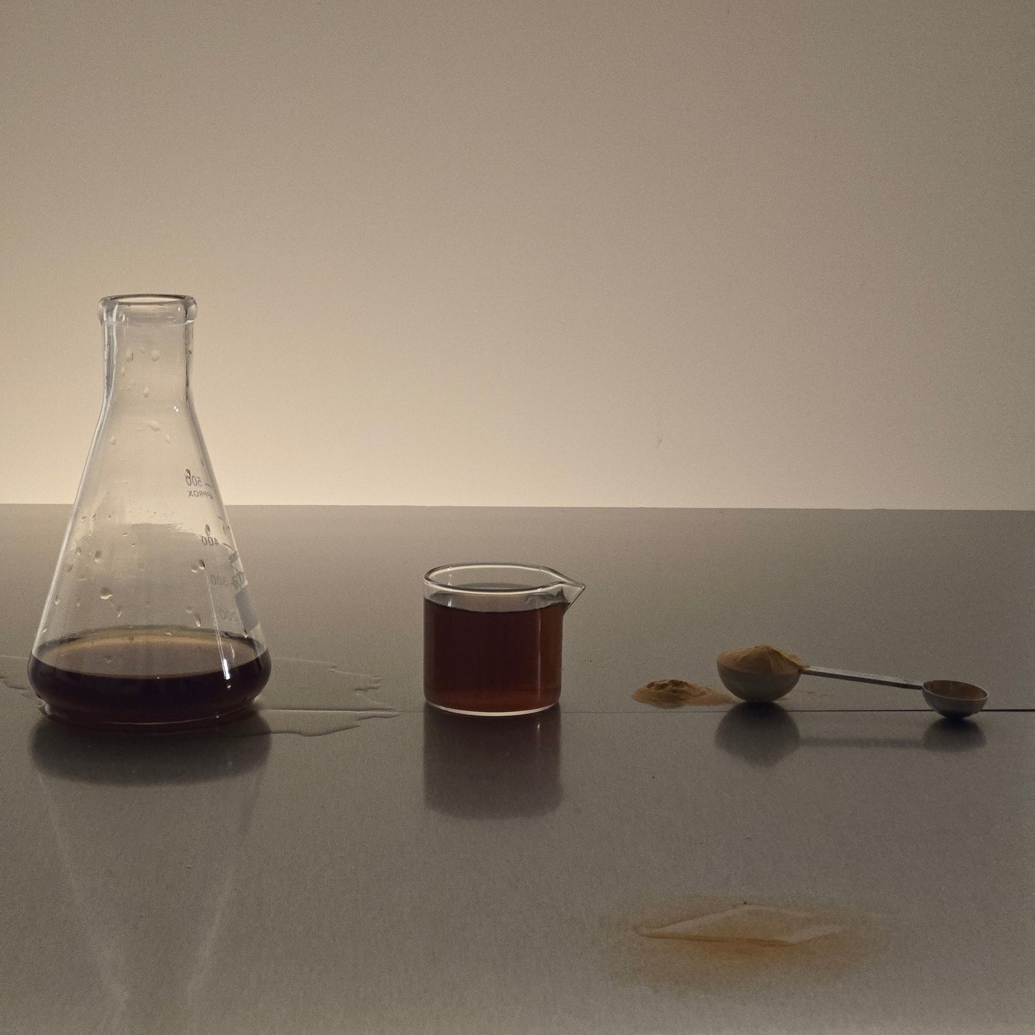 Why Are Beta-Glucans So Good? The Science Behind Functional Mushrooms