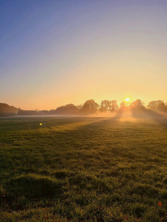 S.A.D & Seasonal Shifts: Mood, Light and Rituals for the Darker Months