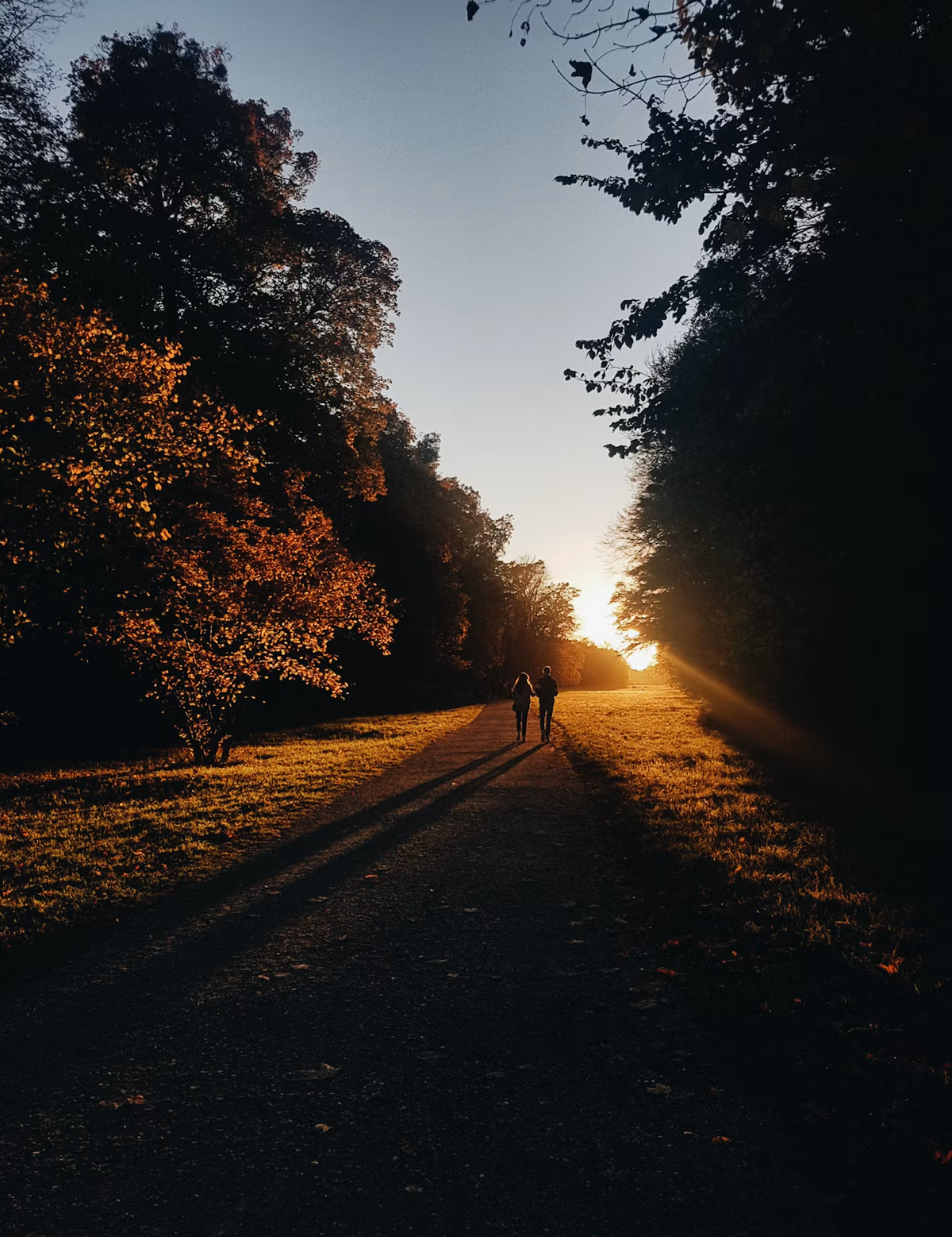Why Habits Fall Apart When the Light Changes — and How to Build Habits That Stick