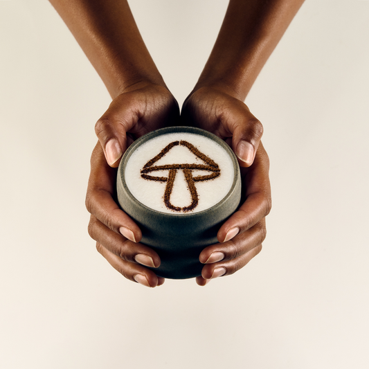 DIRTEA Reishi Latte Recipe: A Simple Evening Ritual for Better Sleep