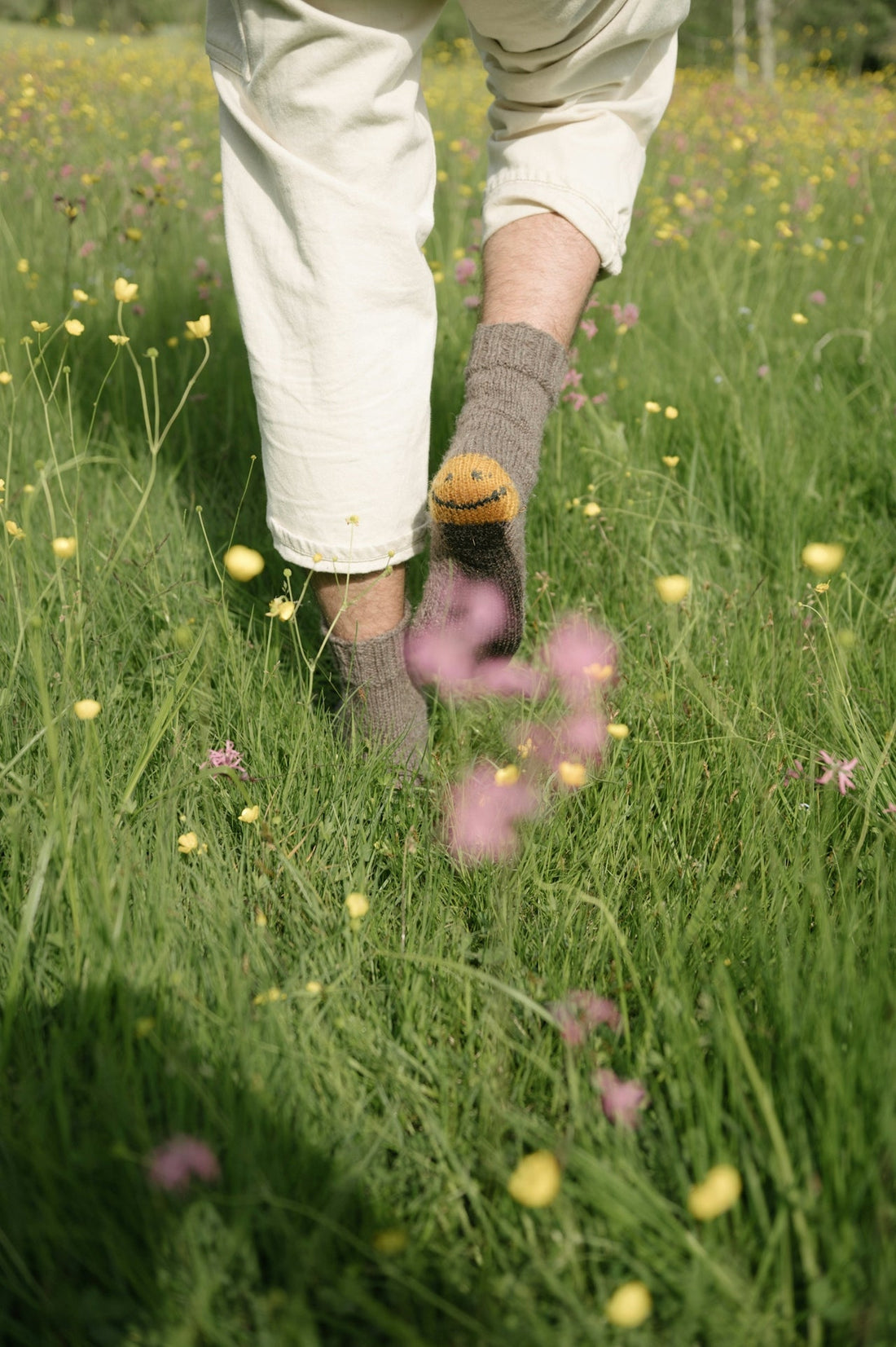 Mental Health Awareness: How Mushrooms Can Support Your Mind-Body Wellness