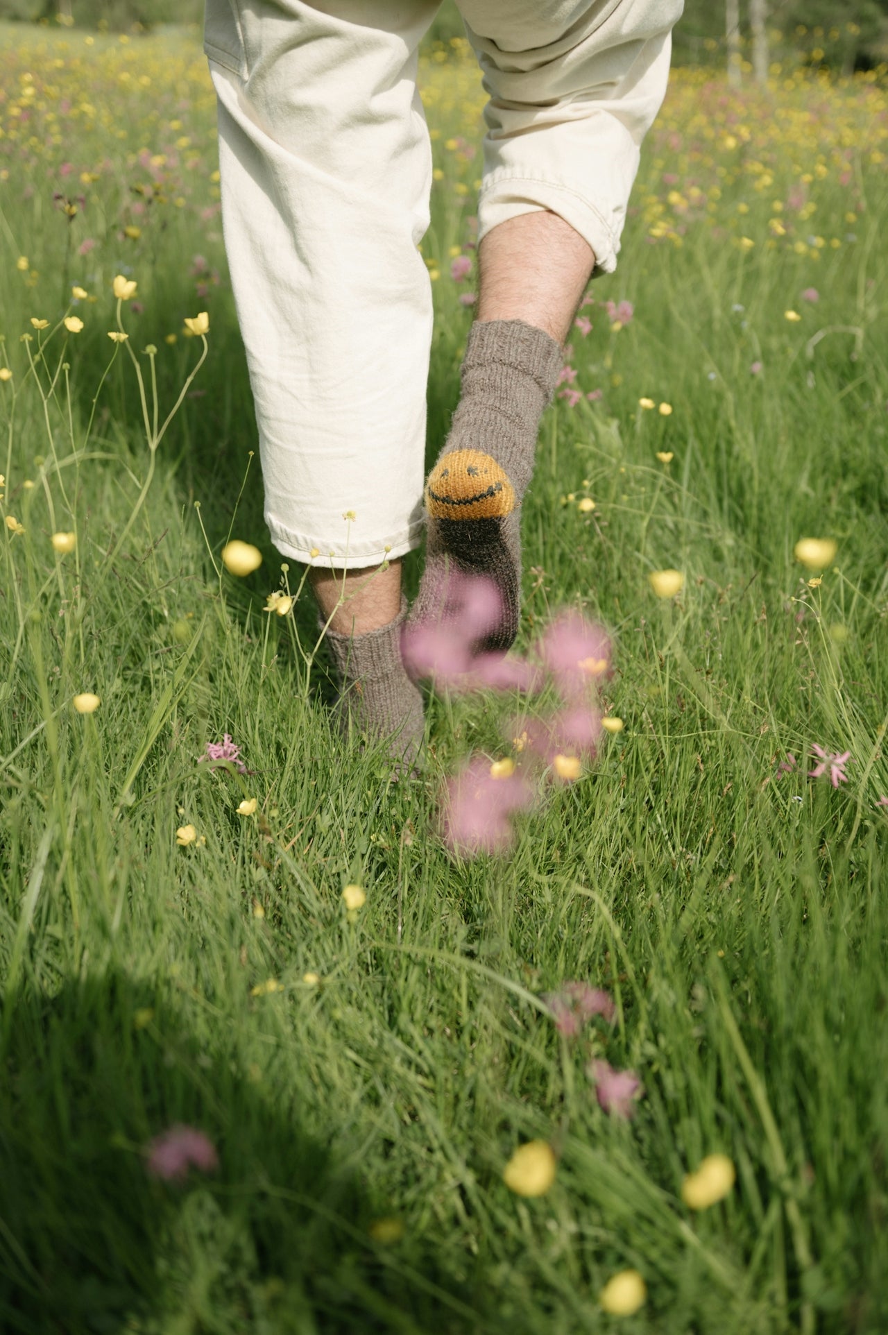 Mental Health Awareness: How Mushrooms Can Support Your Mind-Body Wellness