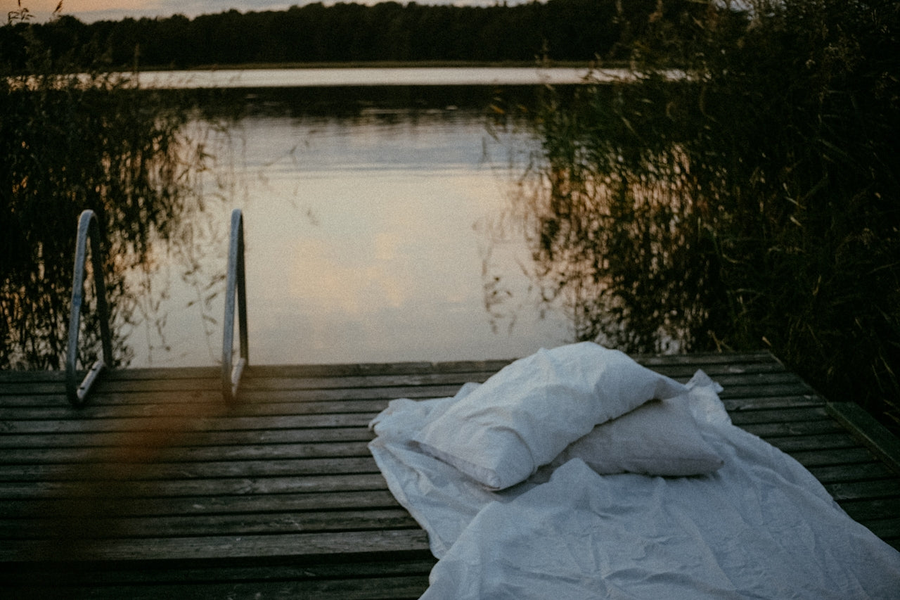 The Power of Mushrooms for Better Sleep: A Natural Remedy