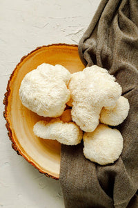 Lion's Mane Mushroom: The Brain Boosting Fungi