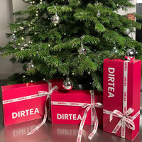 The Ultimate Christmas Gifting Guide: DIRTEA’s Wellness-Packed Mushroom Products