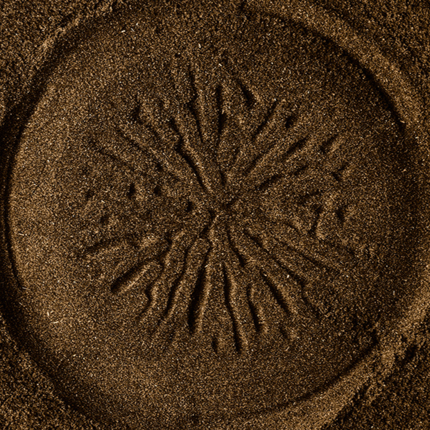 Reishi Mushroom Powder - 12 Month Subscription